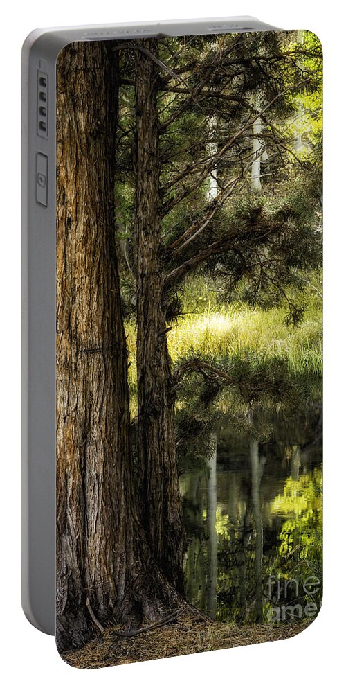 California Portable Battery Charger featuring the photograph Rush Creek Pines 2 by Timothy Hacker