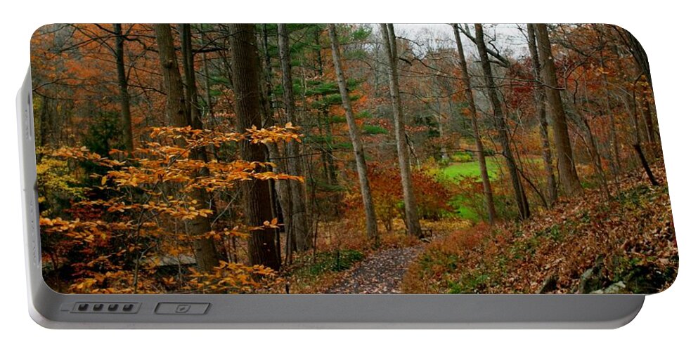 Autumn Portable Battery Charger featuring the photograph Russet Days by Living Color Photography Lorraine Lynch