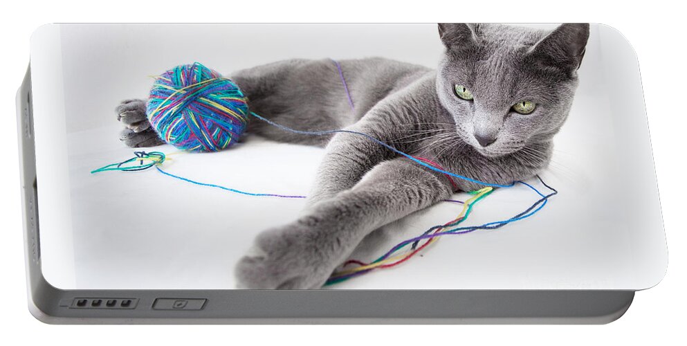 Russian Portable Battery Charger featuring the photograph Russian Blue by Nailia Schwarz