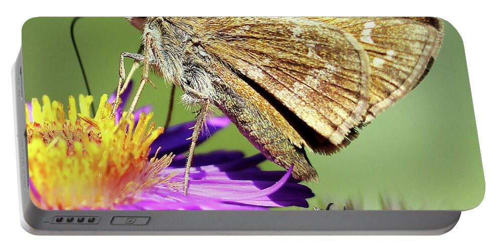  Female Portable Battery Charger featuring the photograph Sachem Skipper by Jennifer Robin