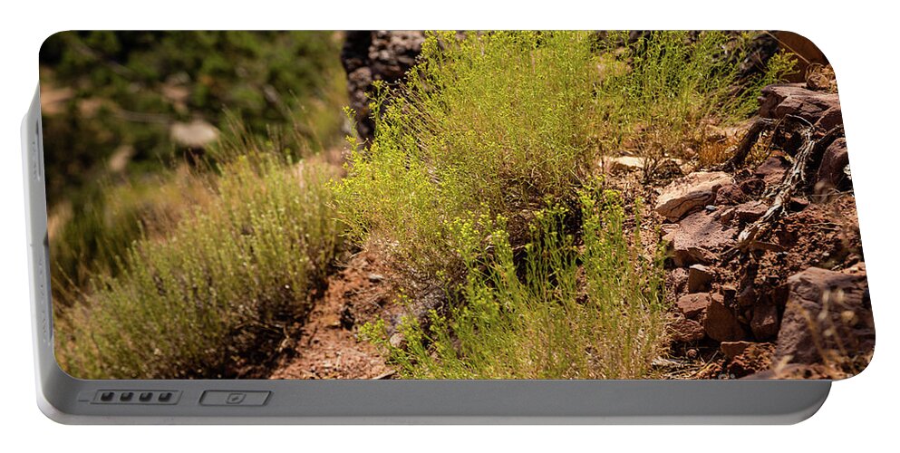 Jon Burch Portable Battery Charger featuring the photograph Sage by Jon Burch Photography