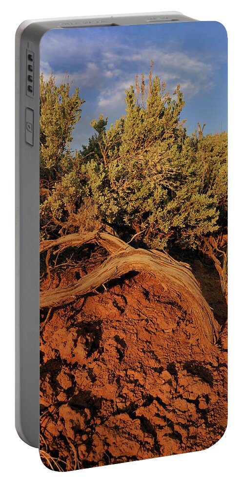 Landscape Portable Battery Charger featuring the photograph Sagebrush At Sunset by Ron Cline