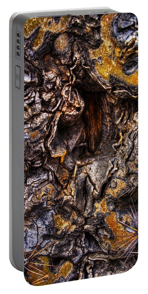 Saguaro Portable Battery Charger featuring the photograph Saguaro Detail No. 19 by Roger Passman