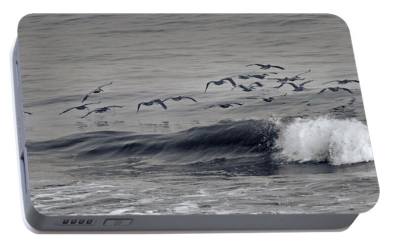Pelicans Portable Battery Charger featuring the photograph Sailing Along by Betsy Knapp