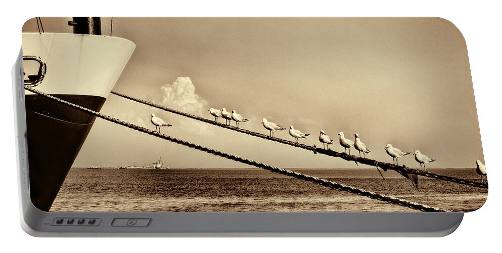 Seagulls Portable Battery Charger featuring the photograph Sailors V2 by Douglas Barnard