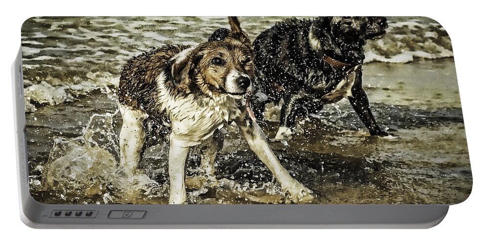 Dog Portable Battery Charger featuring the photograph Salt and Shake by Nick Bywater
