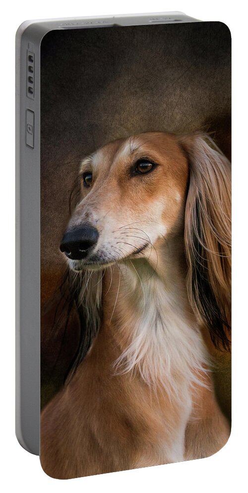 Saluki Portable Battery Charger featuring the photograph Saluki by Diana Andersen