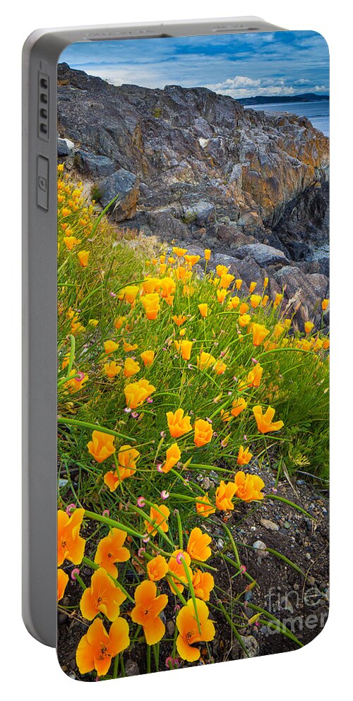 America Portable Battery Charger featuring the photograph San Juan Poppies by Inge Johnsson