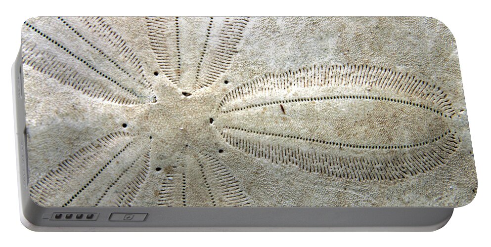 Ocean Portable Battery Charger featuring the photograph Sand Dollar by Ira Marcus