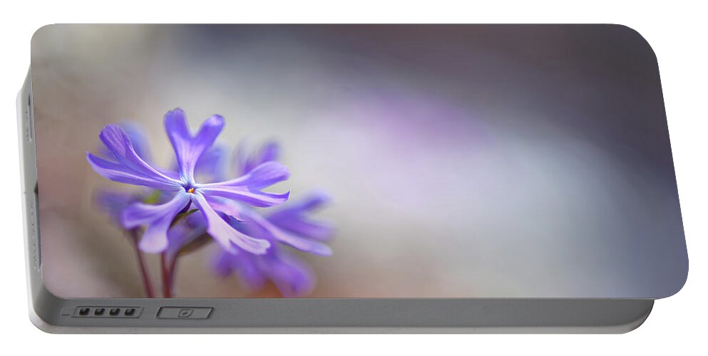 Flower Portable Battery Charger featuring the photograph Sand Phlox by Robert Charity