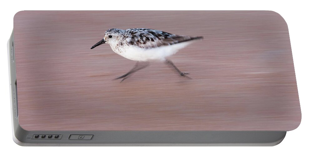 Sanderling Portable Battery Charger featuring the photograph Sanderling On The Run by Paul Rebmann