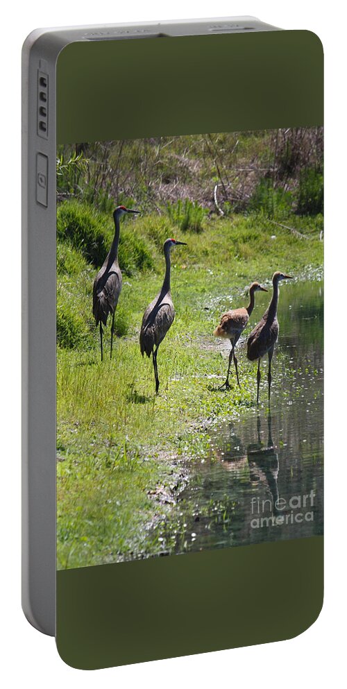 Sandhill Cranes Portable Battery Charger featuring the photograph Sandhill Family by the Pond by Carol Groenen