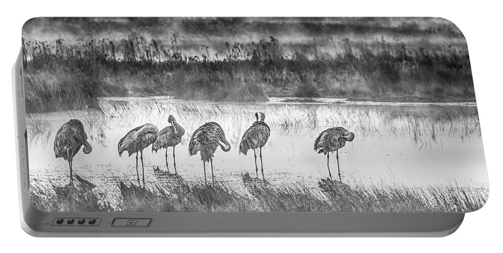 Crex Meadows Portable Battery Charger featuring the photograph Sandhills in the Mist by Kristine Hinrichs