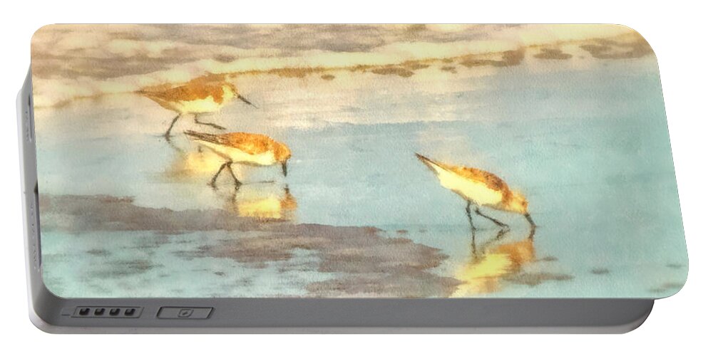 Seascape Portable Battery Charger featuring the photograph Sandpipers Along the Shoreline by Betsy Foster Breen