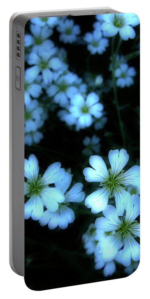Flowers Portable Battery Charger featuring the photograph Sandywinks by Marla Craven
