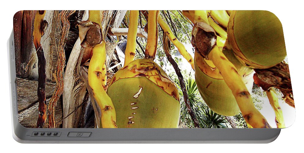 Florida Portable Battery Charger featuring the photograph Sanibel Coconuts GP by Chris Andruskiewicz