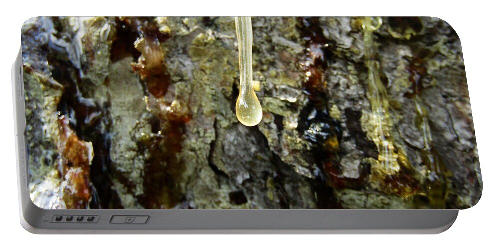 Pine Portable Battery Charger featuring the photograph Sap Drip by Robert Knight