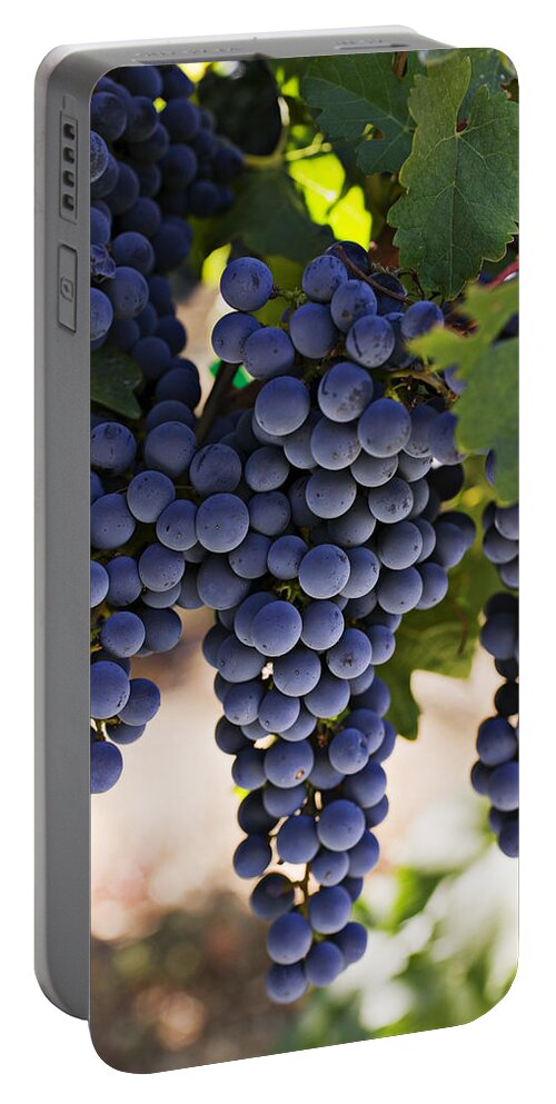 Sauvignon Portable Battery Charger featuring the photograph Sauvignon grapes by Garry Gay