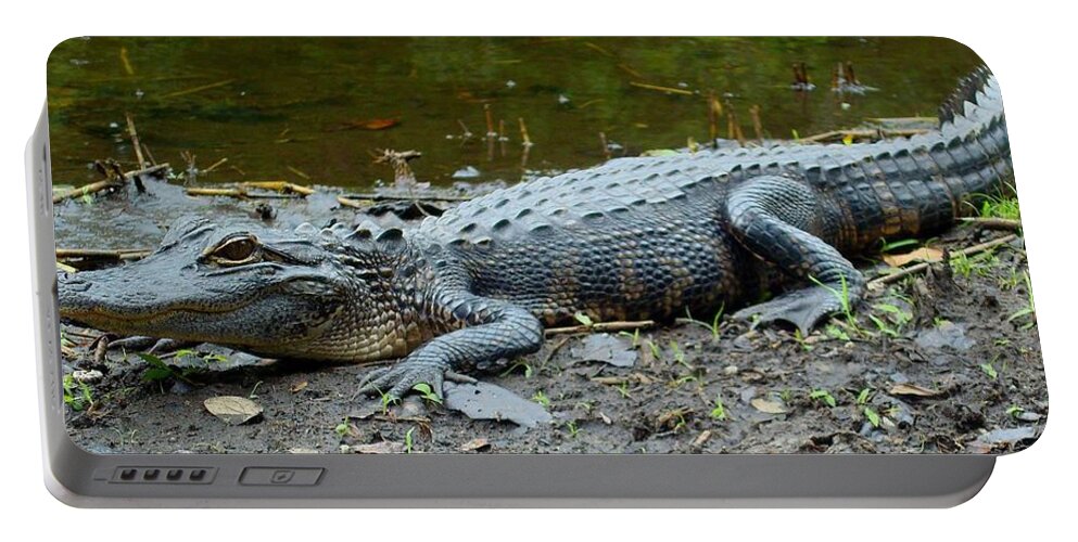 Gator Portable Battery Charger featuring the photograph Sawgrass Gator by Julie Pappas