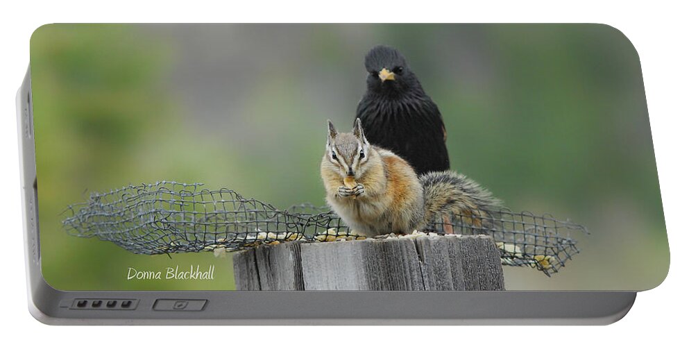 Squirrel Portable Battery Charger featuring the photograph Say Cheese by Donna Blackhall