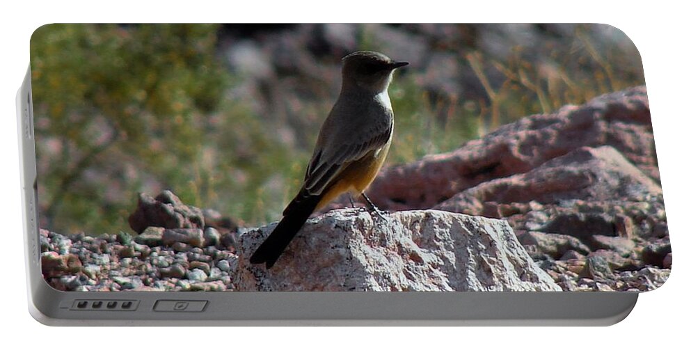 Bird Portable Battery Charger featuring the photograph Say's Phoebe by Carl Moore