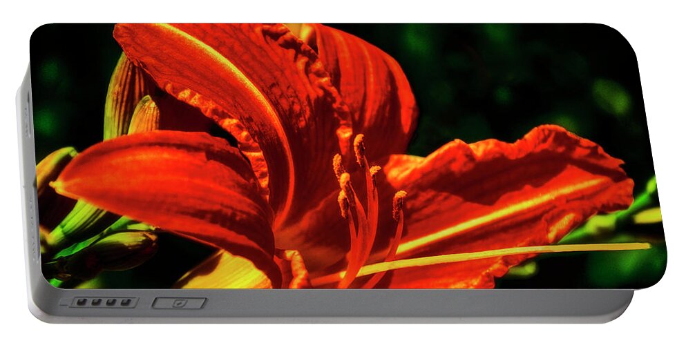Flower Portable Battery Charger featuring the photograph Scarlet Flower by Joseph Hollingsworth