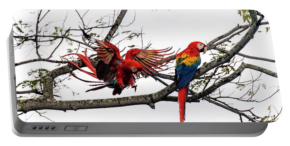 Costa Rica Portable Battery Charger featuring the photograph Scarlet Macaws by Yoshiki Nakamura