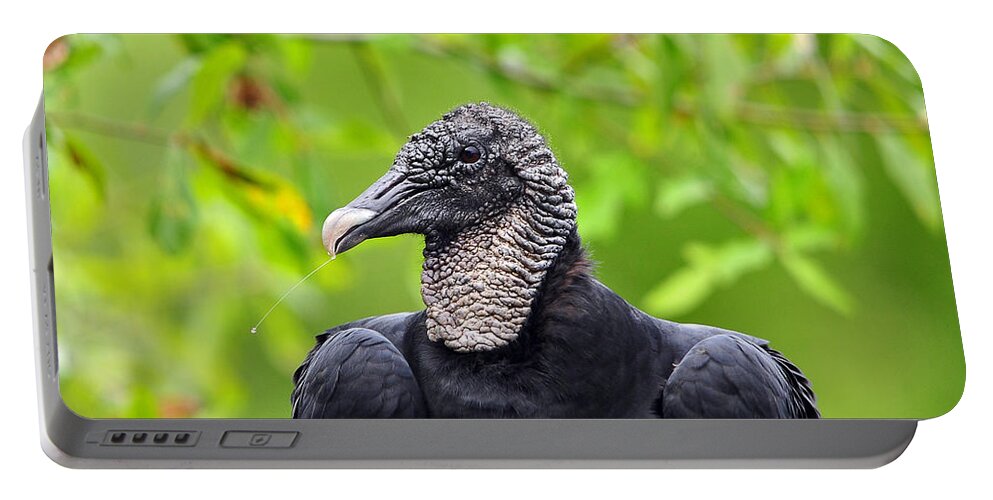 Black Vulture Portable Battery Charger featuring the photograph Scavenger Spittle by Al Powell Photography USA