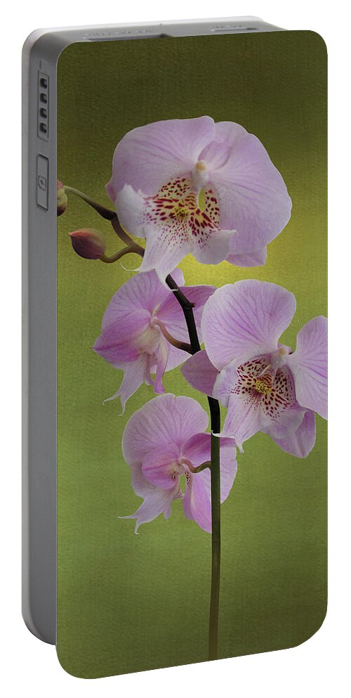 Orchid Portable Battery Charger featuring the digital art Schiller's Phalaenopsis by M Spadecaller
