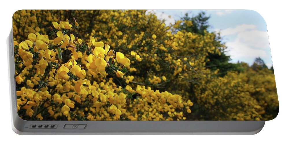 Flower Portable Battery Charger featuring the photograph Scotch Broom by KATIE Vigil