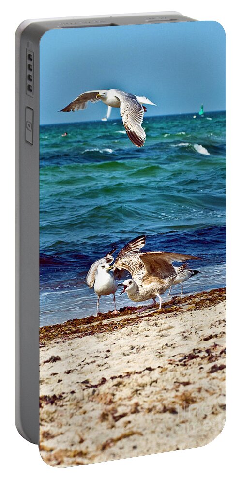 Screaming Seagulls In Action Portable Battery Charger featuring the photograph Screaming Seagulls in Action by Silva Wischeropp