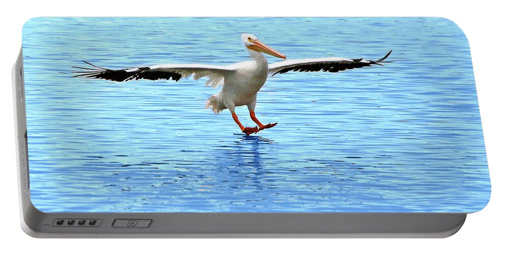Fauna Portable Battery Charger featuring the photograph Screeching Halt by Mariarosa Rockefeller
