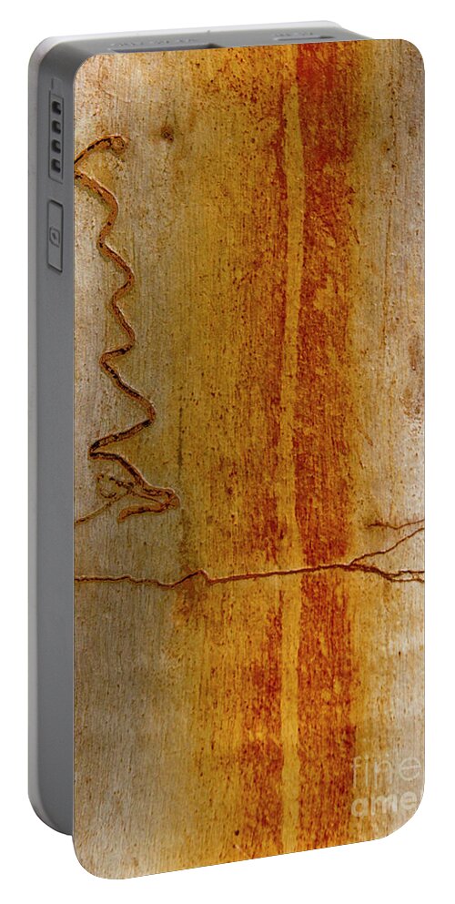 Scribbly Gum Portable Battery Charger featuring the photograph Scribbly Gum Bark by Werner Padarin