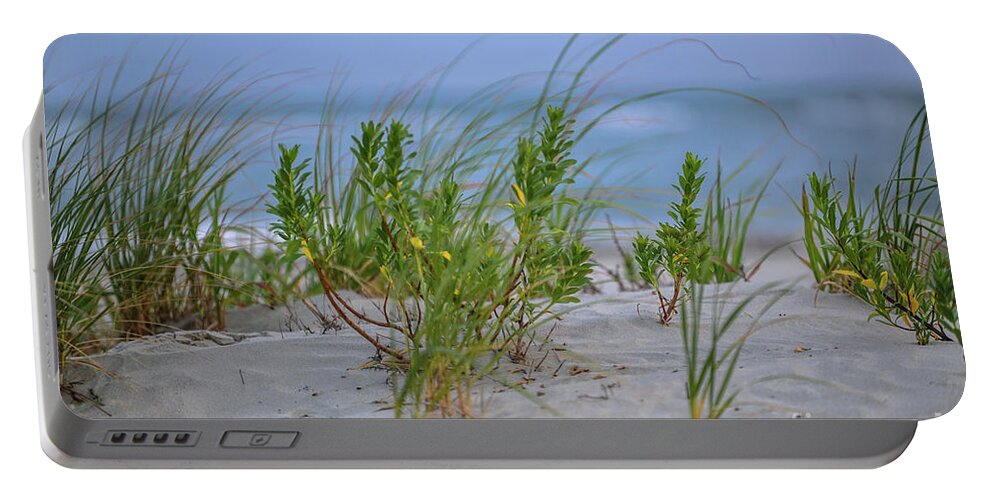 Beach Portable Battery Charger featuring the photograph Sea Grass Blowing in the Wind by Dale Powell