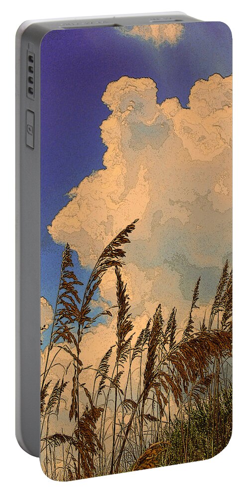 Landscape Portable Battery Charger featuring the photograph Sea Grass by James Rentz