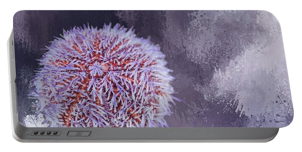 Echinus Esculentus Portable Battery Charger featuring the photograph Sea Hedgehog Shell by Eva Lechner