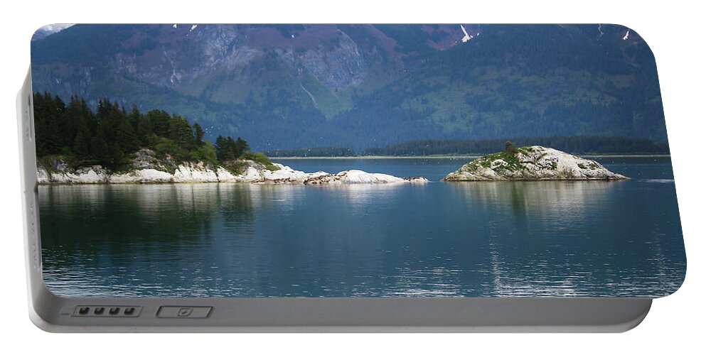 Sea Lions Portable Battery Charger featuring the photograph Sea Lions Alaska Two by Veronica Batterson