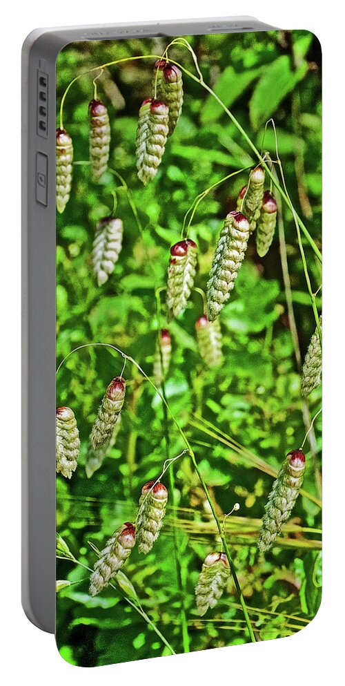 Sea Oats Above Muir Beach In Muir Woods National Monument Portable Battery Charger featuring the photograph Sea Oats above Muir Beach in Muir Woods National Monument, California by Ruth Hager