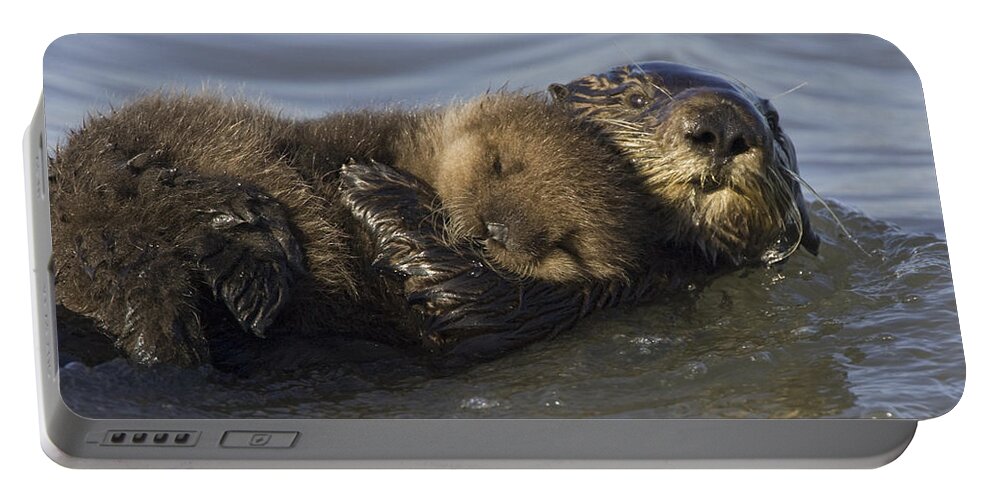 00438549 Portable Battery Charger featuring the photograph Sea Otter Mother With Pup Monterey Bay by Suzi Eszterhas