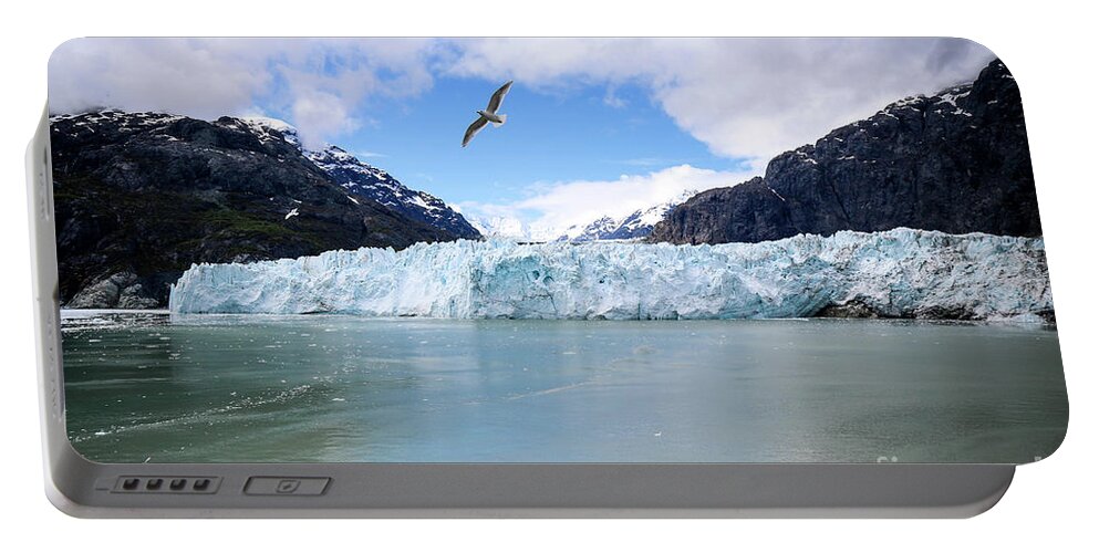 Seabirds Portable Battery Charger featuring the photograph Seabirds above Margerie by Veronica Batterson