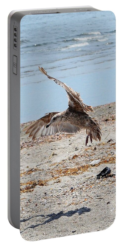 Beach Portable Battery Charger featuring the photograph Seagull and Shadow by Dani McEvoy