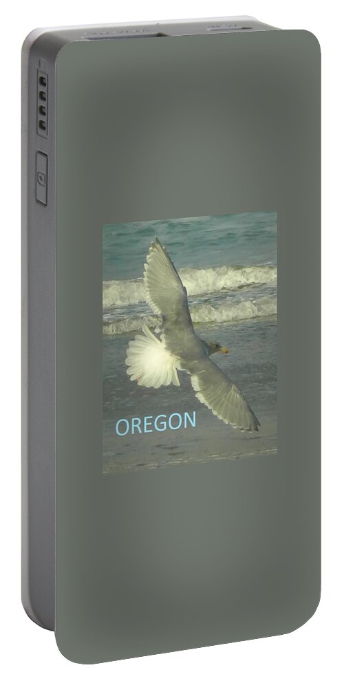 Seagull Portable Battery Charger featuring the photograph Seagull Beauty by Gallery Of Hope 