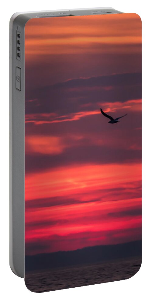 Terry D Photography Portable Battery Charger featuring the photograph Seagull Flying At Sunset Jersey Shore by Terry DeLuco