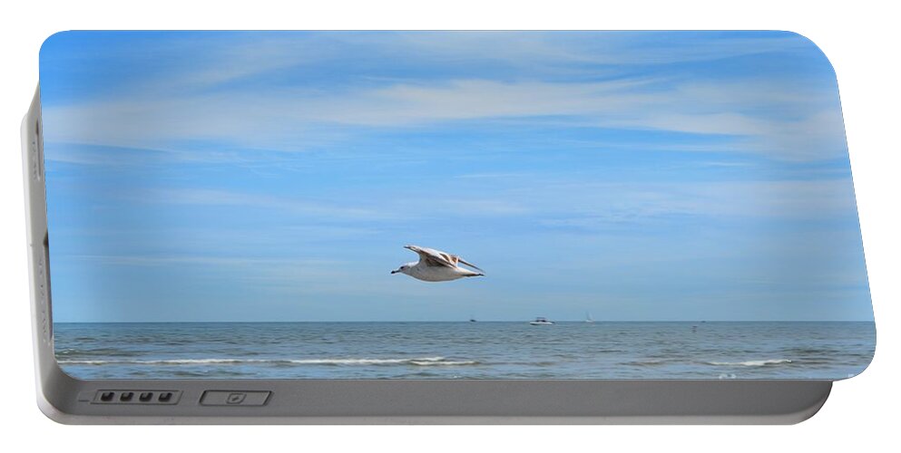 Seagull Portable Battery Charger featuring the photograph Seagull in Flight by Dani McEvoy