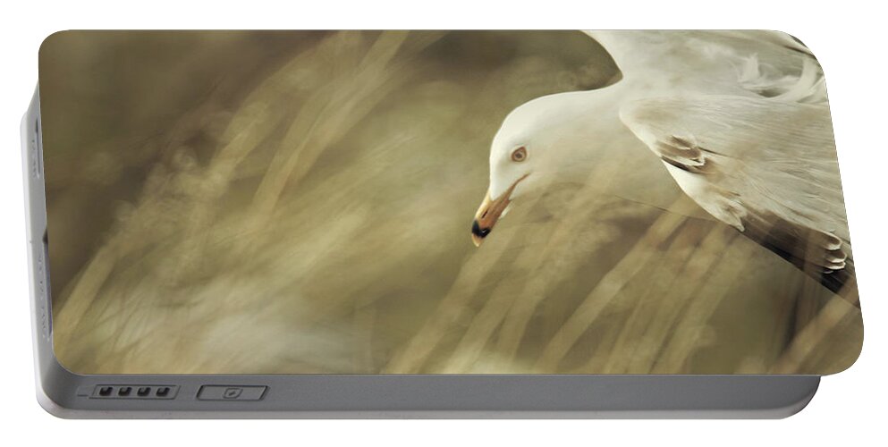 Seagull Portable Battery Charger featuring the photograph Seagull in Wheat by Carrie Ann Grippo-Pike