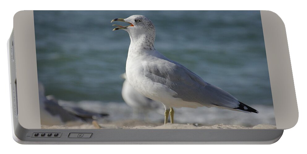Seagull Portable Battery Charger featuring the photograph Seagull on Lake Erie Beach by Valerie Collins