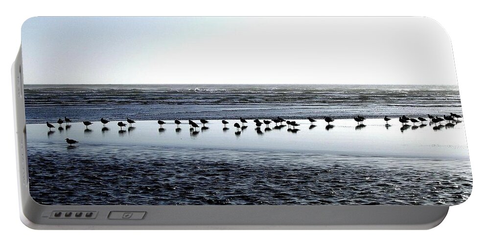 Seagulls Portable Battery Charger featuring the photograph Seagulls On A Sandbar by Will Borden