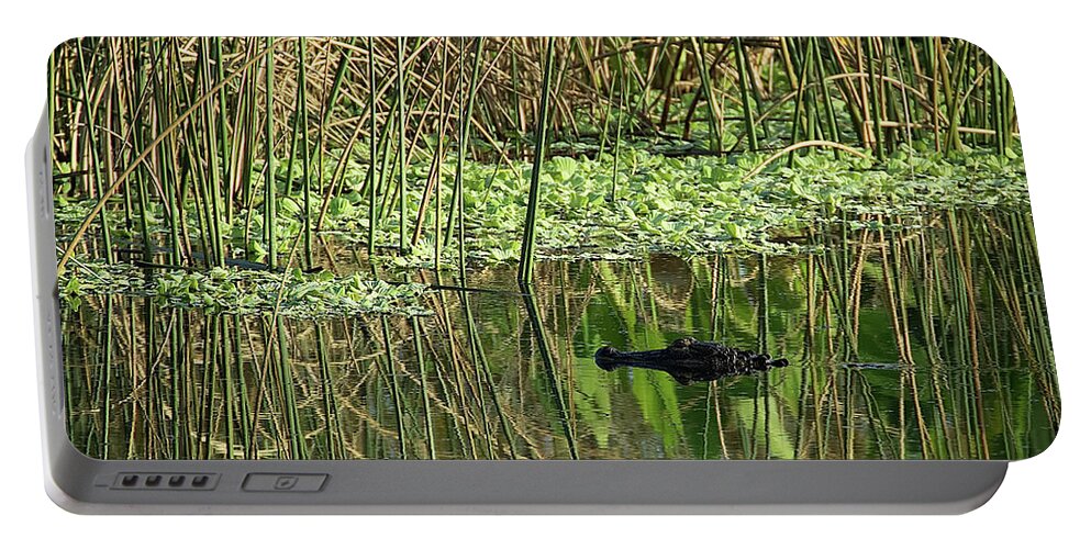 Alligator Portable Battery Charger featuring the photograph Searching for Food by Richard Goldman