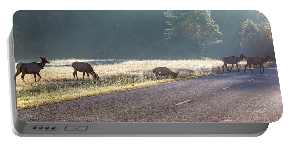 Elk Portable Battery Charger featuring the photograph Searching For Greener Grass by D K Wall