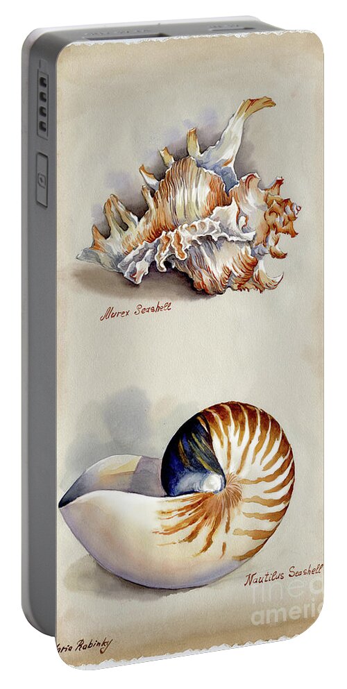 Seashells Portable Battery Charger featuring the photograph Seashells Murex and Nautilus by Maria Rabinky